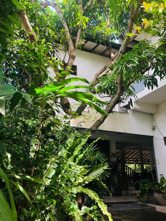 Tinara River Inn, Weligama Kültér fotó