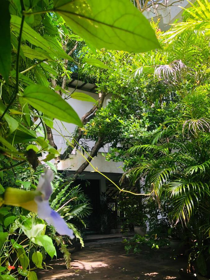 Tinara River Inn, Weligama Kültér fotó