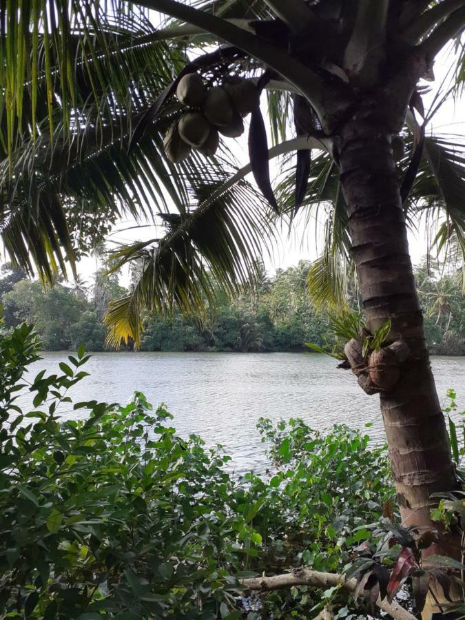 Tinara River Inn, Weligama Kültér fotó